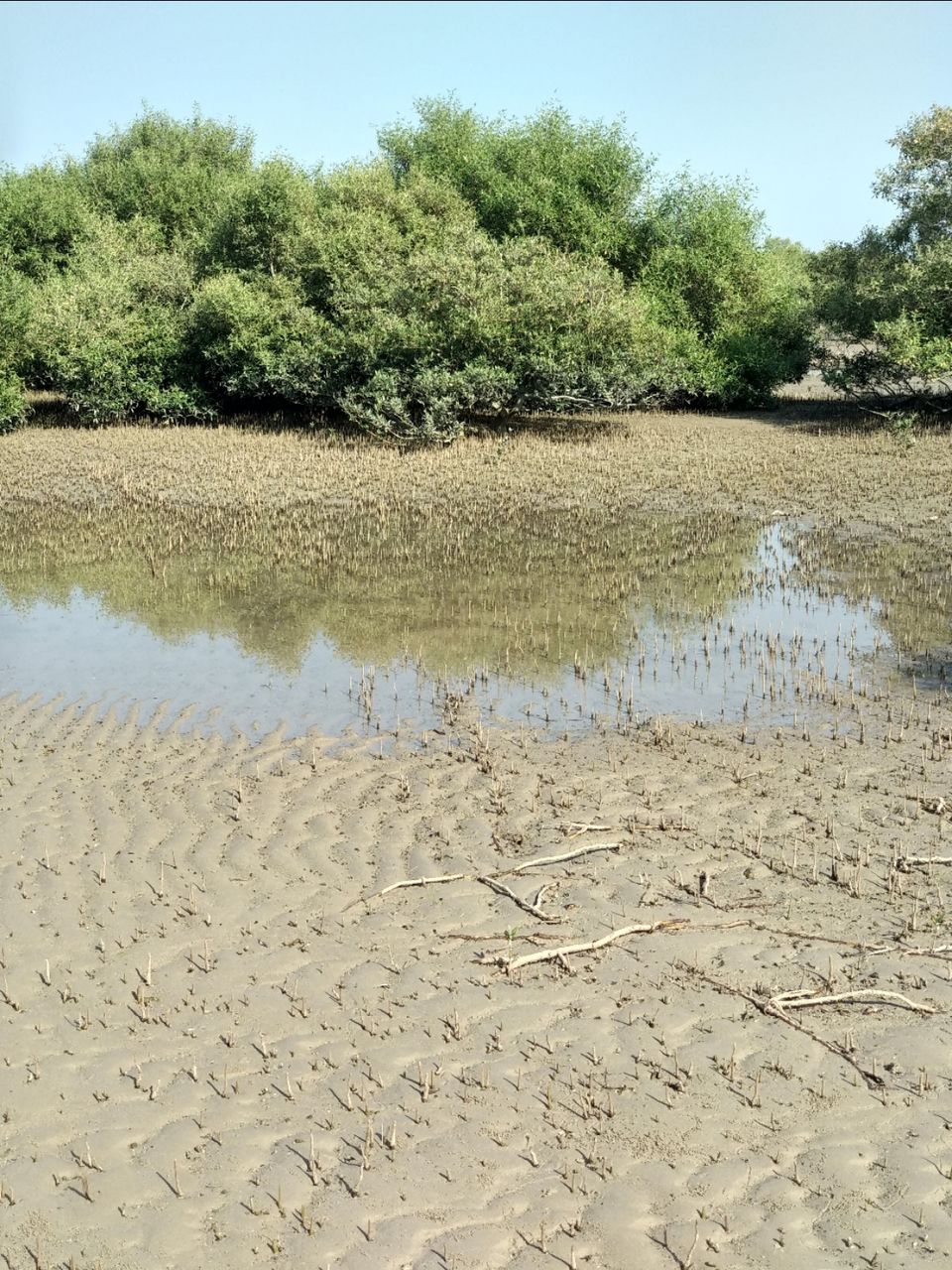 Photo of Narara Marine National Park-Jamnagar, Gujarat, India by Mangolik Pradhan