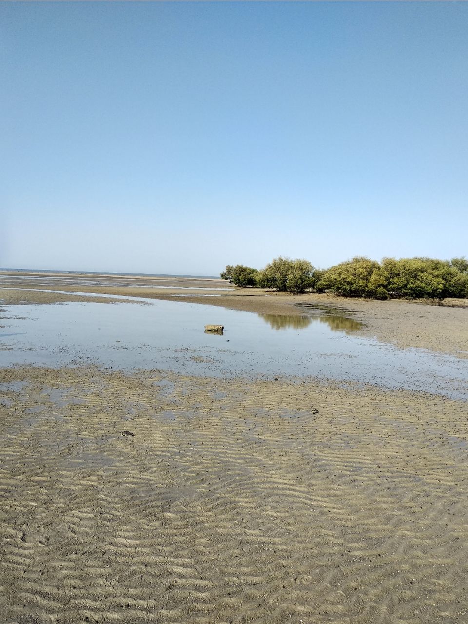 Photo of Narara Marine National Park-Jamnagar, Gujarat, India by Mangolik Pradhan