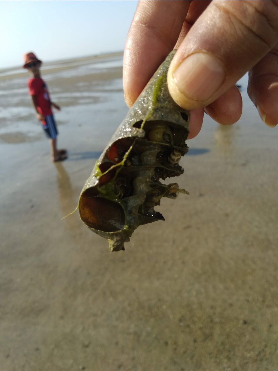 Photo of Narara Marine National Park-Jamnagar, Gujarat, India by Mangolik Pradhan