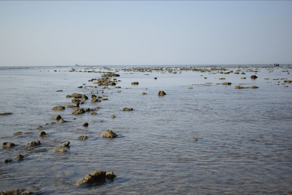 Photo of Narara Marine National Park-Jamnagar, Gujarat, India by Mangolik Pradhan