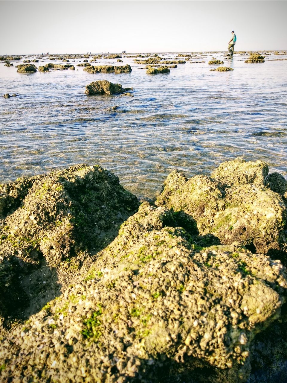 Photo of Narara Marine National Park-Jamnagar, Gujarat, India by Mangolik Pradhan