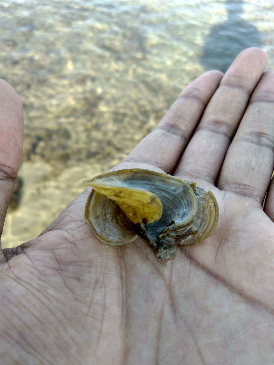 Photo of Narara Marine National Park-Jamnagar, Gujarat, India by Mangolik Pradhan