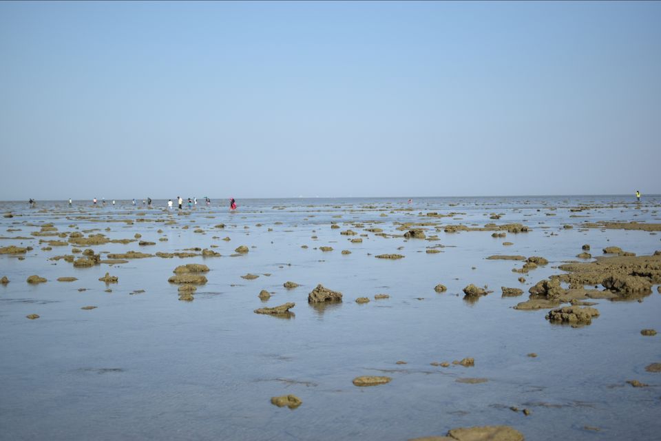 Photo of Narara Marine National Park-Jamnagar, Gujarat, India by Mangolik Pradhan