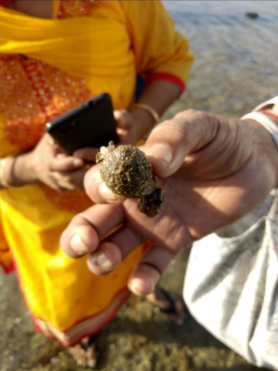 Photo of Narara Marine National Park-Jamnagar, Gujarat, India by Mangolik Pradhan