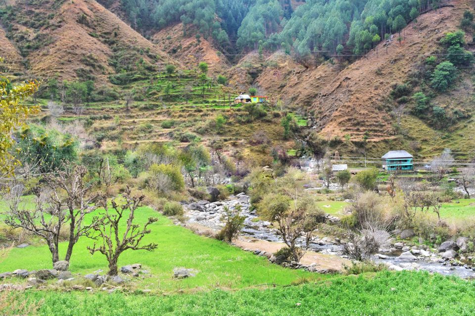 Photo of My first trek in Himalayan winters - Explored a lake with a floating island by travelingcocoon_kanika