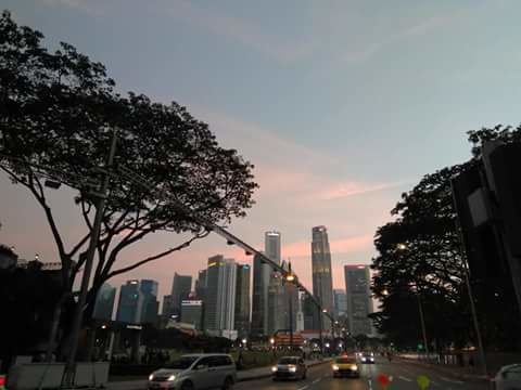 Photo of Singapore or why I thought sleep is for the weak by Evgenia Dineva
