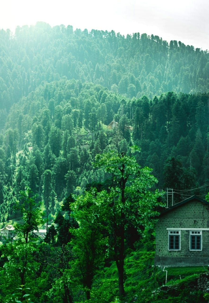 Photo of Dalhousie, Himachal Pradesh, India by Ipsit Bibhudarshi