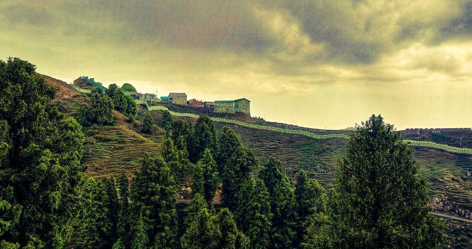 Photo of Dainkund Peak, Rakhed, Himachal Pradesh by Ipsit Bibhudarshi