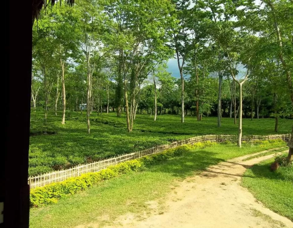 Photo of Singpho Eco Lodge, Dibong No.1, Assam, India by Arnav Bora