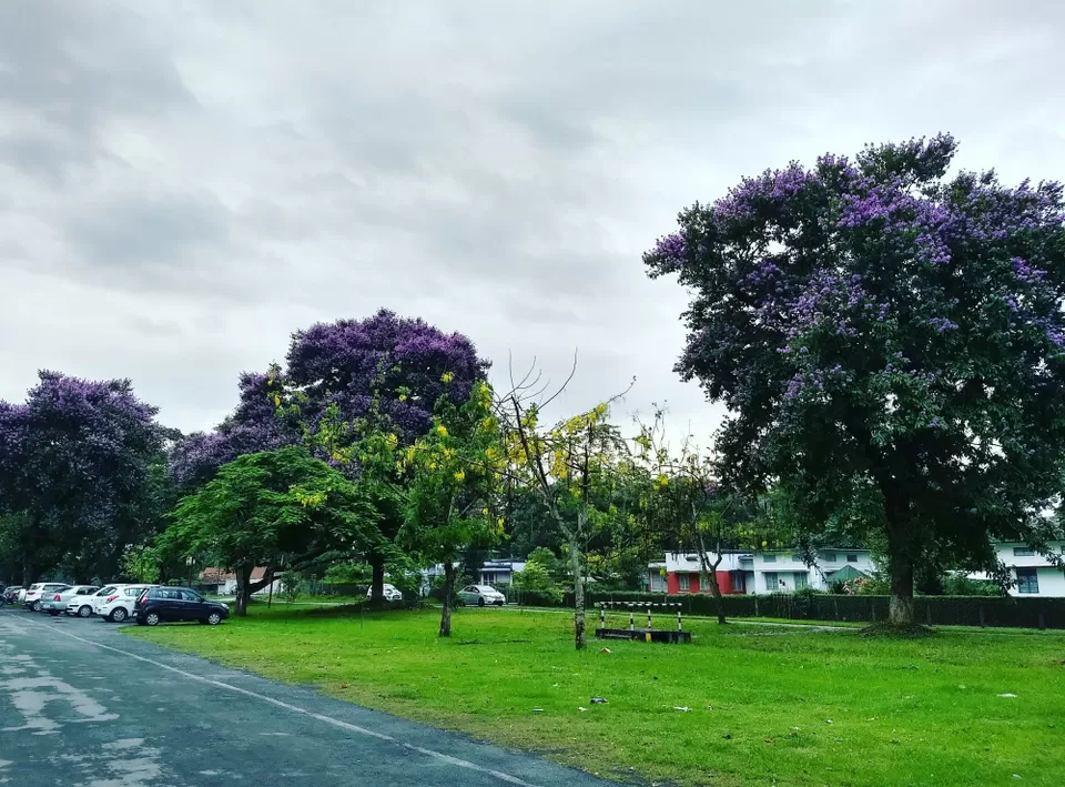 Photo of What makes Duliajan more pleasing? Spring it is. by Arnav Bora