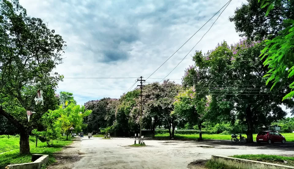 Photo of What makes Duliajan more pleasing? Spring it is. by Arnav Bora