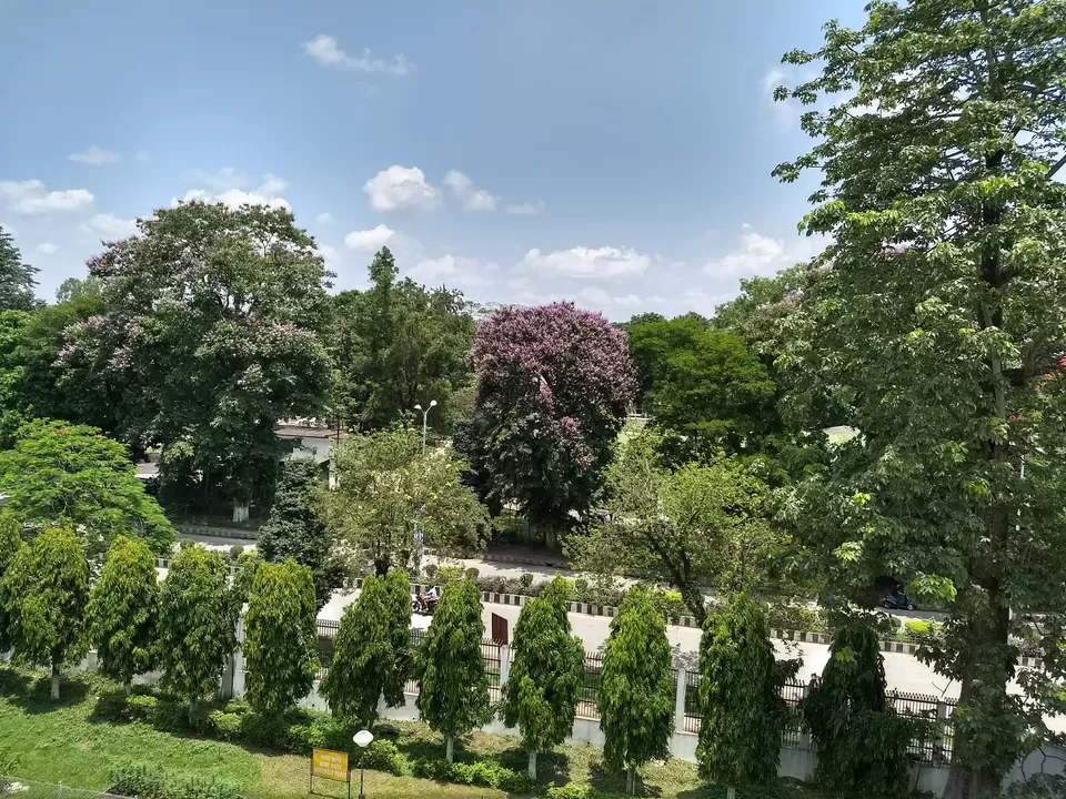Photo of What makes Duliajan more pleasing? Spring it is. by Arnav Bora