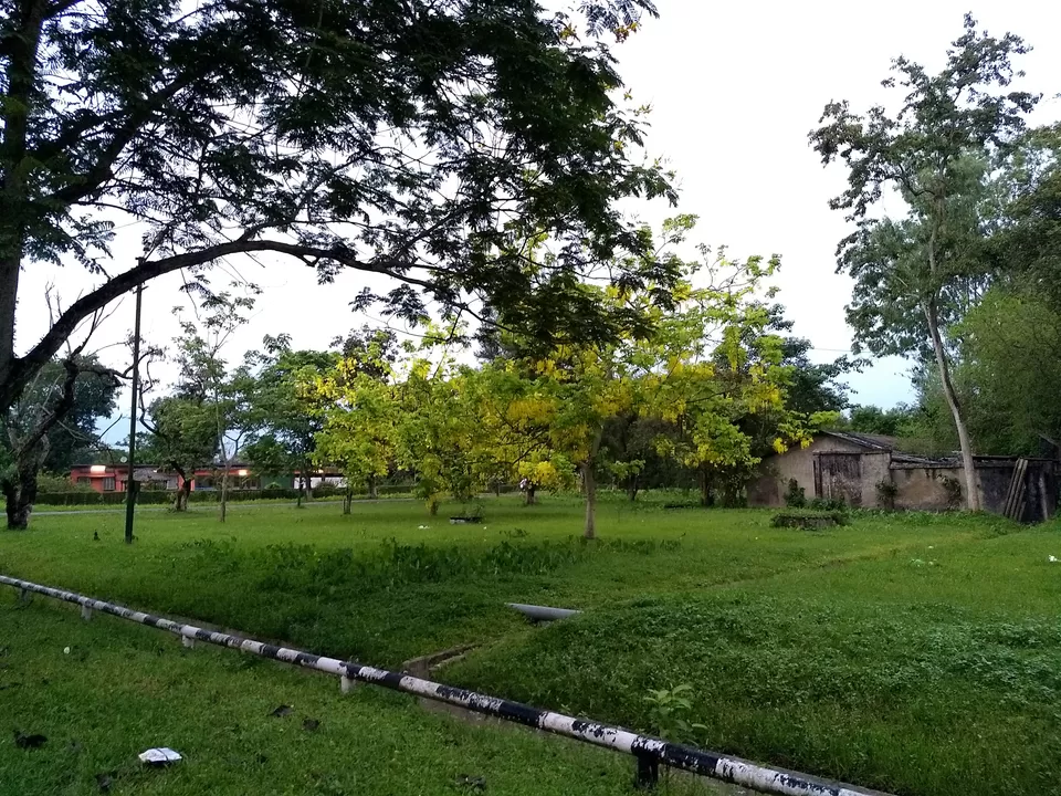 Photo of What makes Duliajan more pleasing? Spring it is. by Arnav Bora