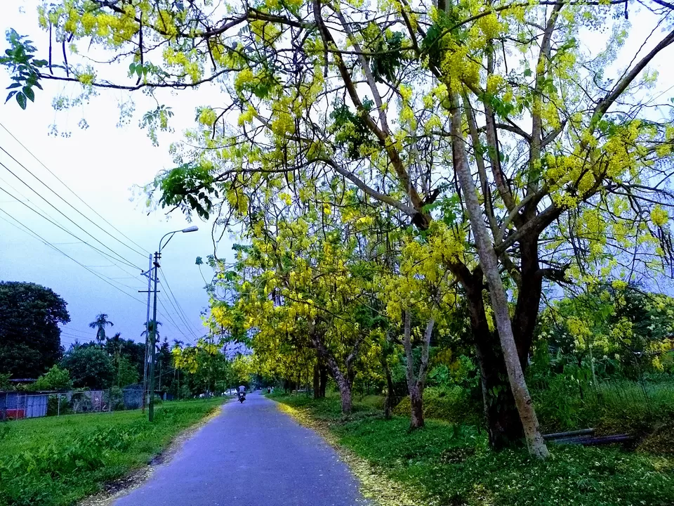 Photo of What makes Duliajan more pleasing? Spring it is. by Arnav Bora