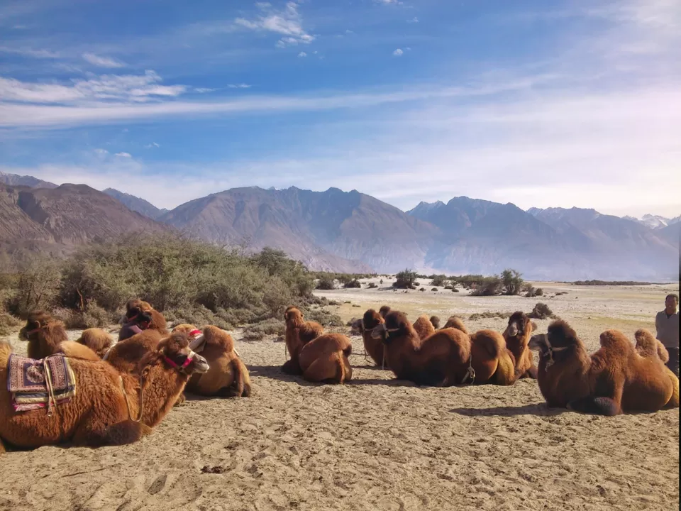Photo of Ladakh Vacation, Leh by Romesh Sankhe