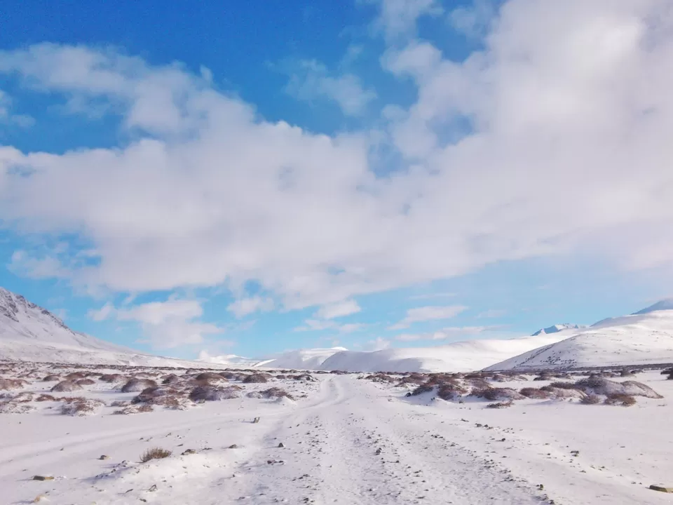 Photo of Ladakh Vacation, Leh by Romesh Sankhe