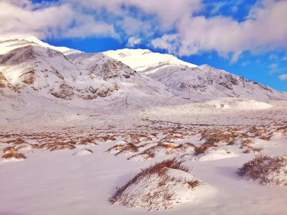 Photo of Ladakh Vacation, Leh by Romesh Sankhe