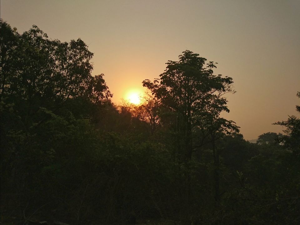 Photo of Devbag, Maharashtra, India by Romesh Sankhe