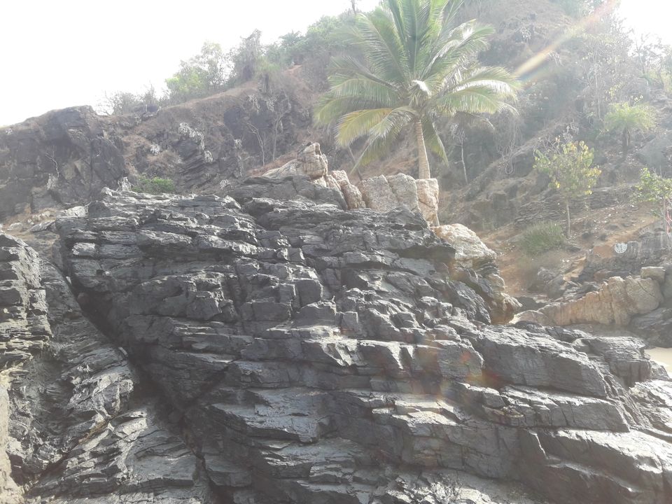 Photo of Solo Road trip to Murdershwar & gokarna by Navi Naveen