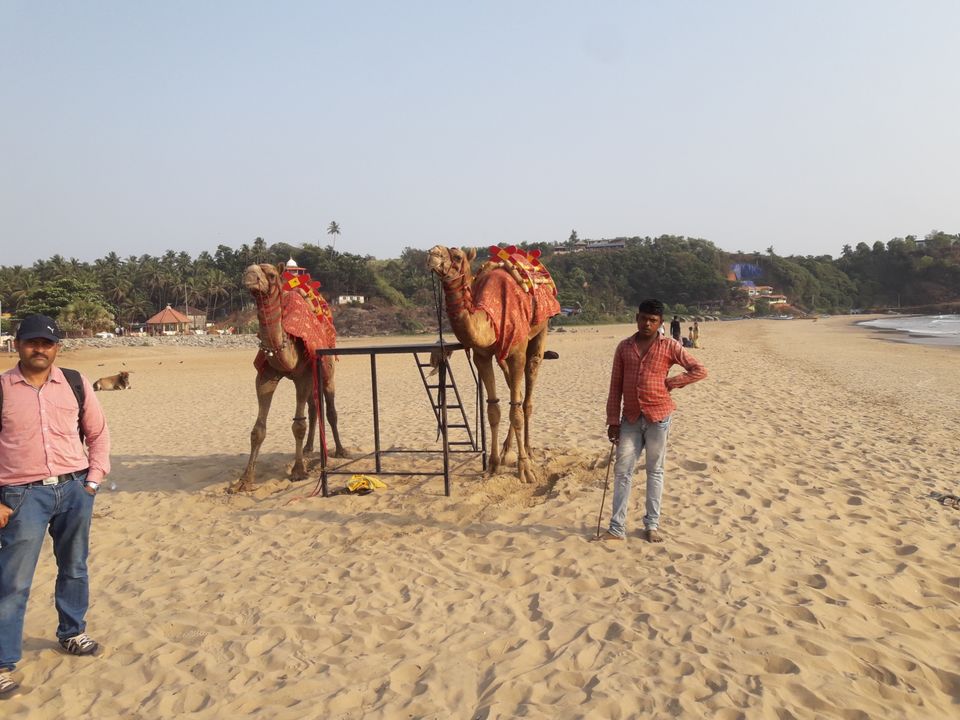 Photo of Solo Road trip to Murdershwar & gokarna by Navi Naveen