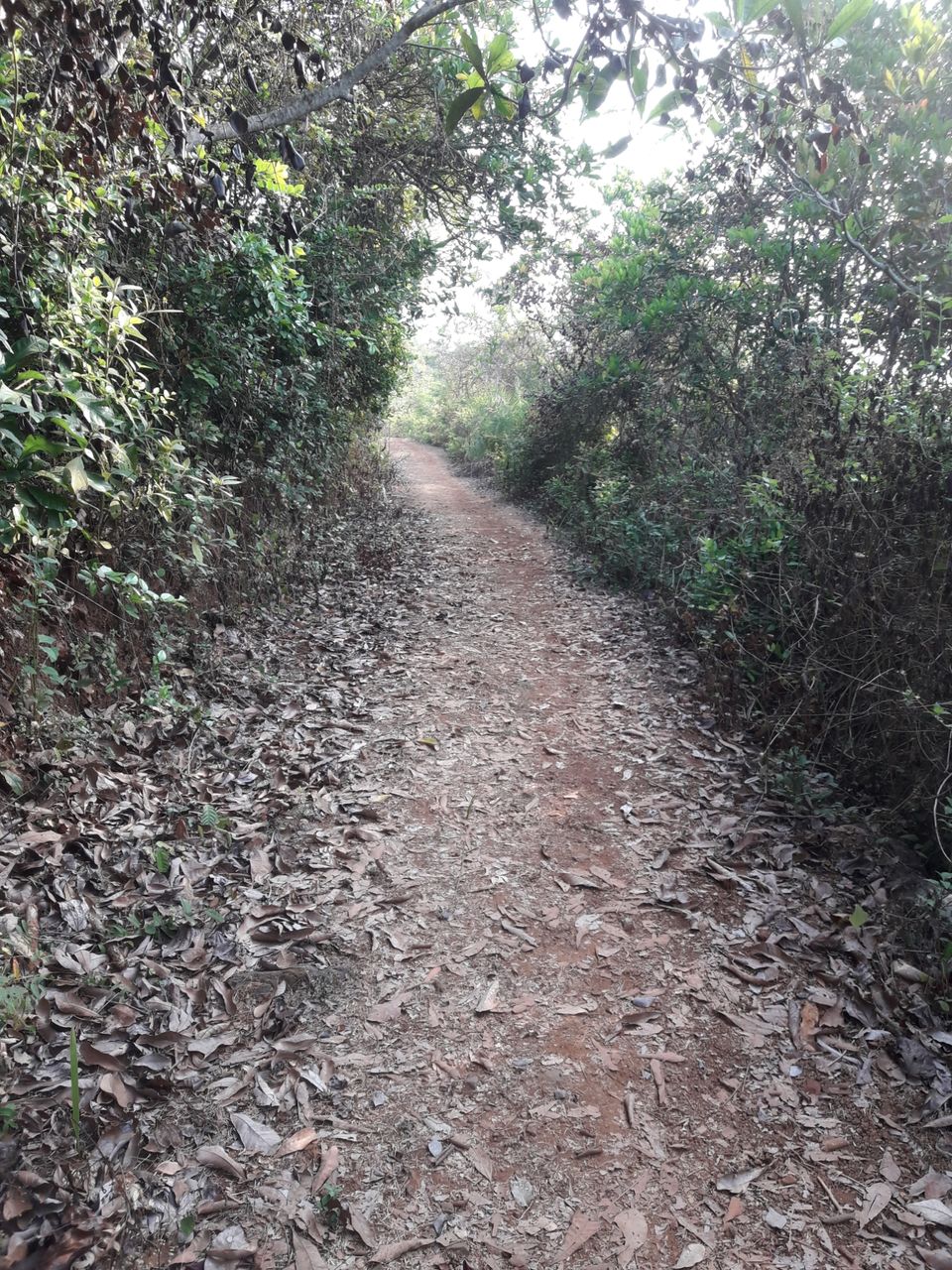 Photo of Solo Road trip to Murdershwar & gokarna by Navi Naveen