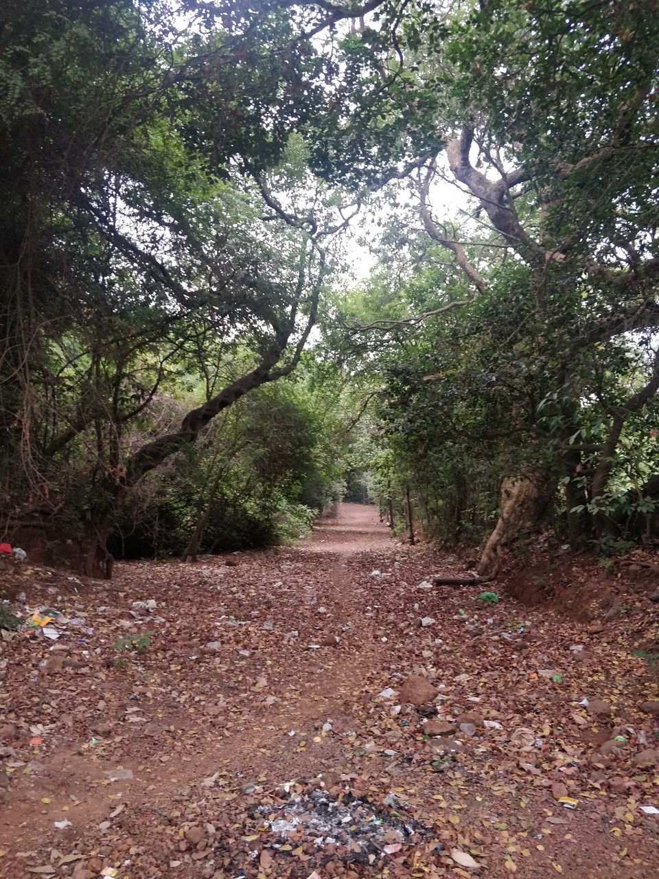 Photo of Mahabaleshwar, Maharashtra, India by Ashutosh Vyas