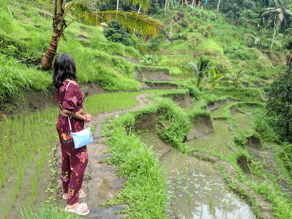 Photo of How to experience luxury of Bali in budget? by being.ourselves