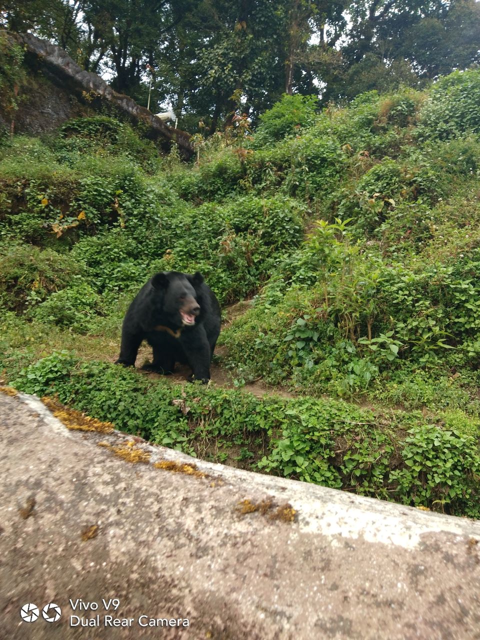 Photo of Incredible Darjeeling by Er Utsal Chaudhary