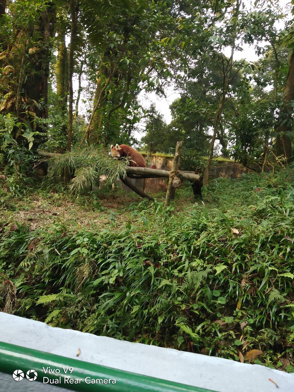 Photo of Incredible Darjeeling by Er Utsal Chaudhary