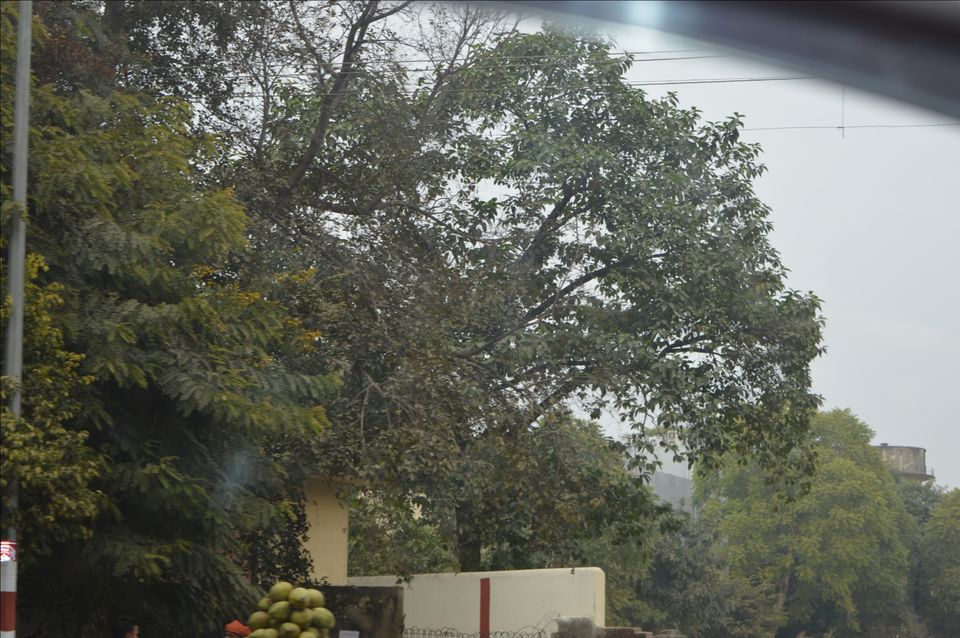 Photo of Allahabad Museum by Er Utsal Chaudhary