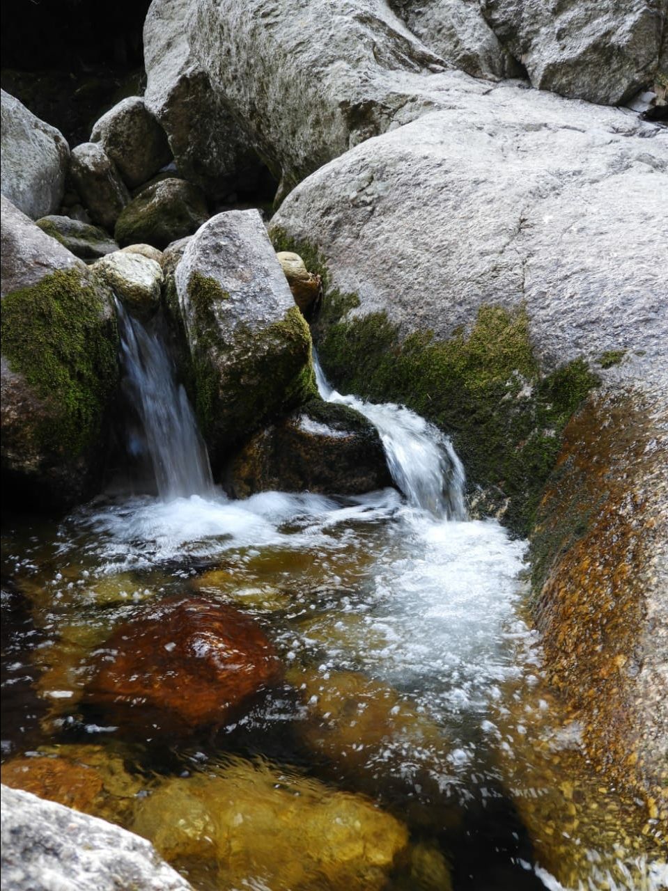 Photo of Solo trip to Bir-Billing and Mcloedganj |Dharmakot| Triund by shailesh singh