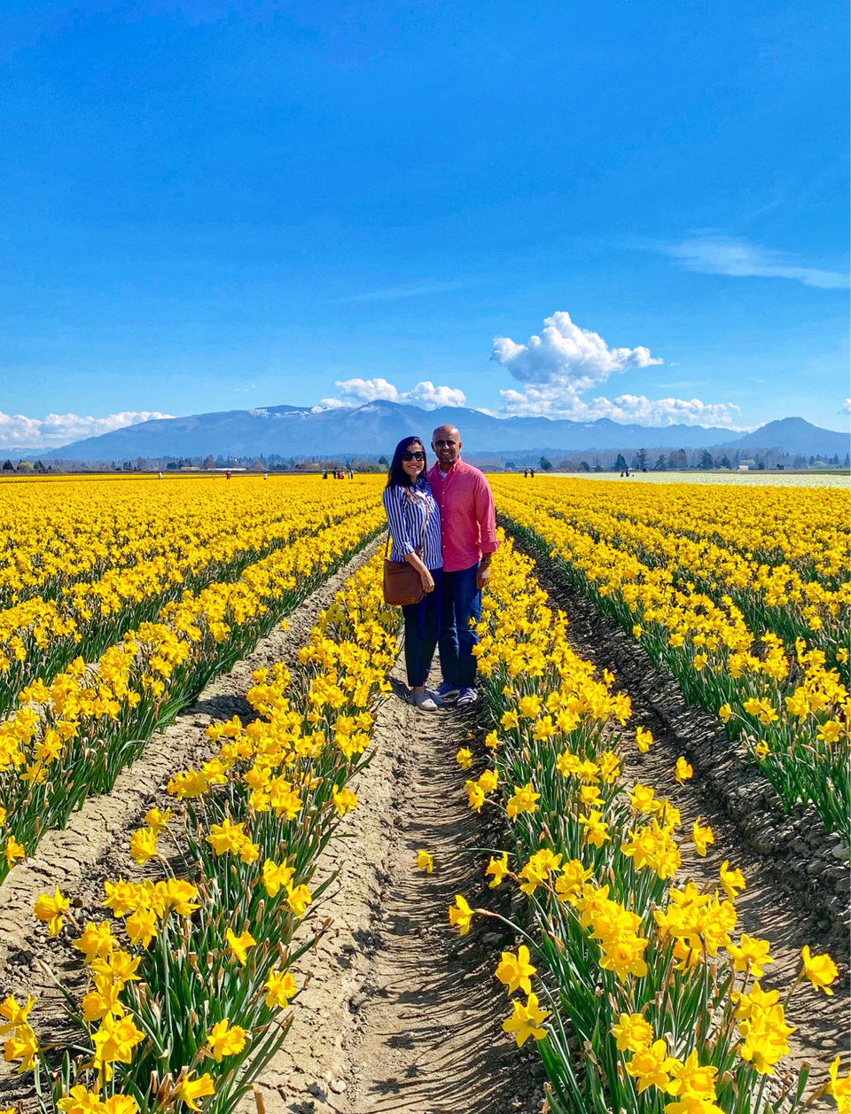 Photo of Skagit City, Washington - April 2019 by Prerana Daga
