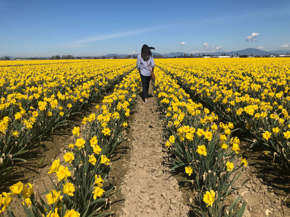 Photo of Skagit City, Washington - April 2019 by Prerana Daga