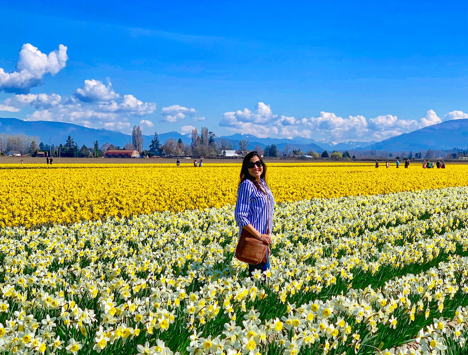 Photo of Skagit City, Washington - April 2019 by Prerana Daga