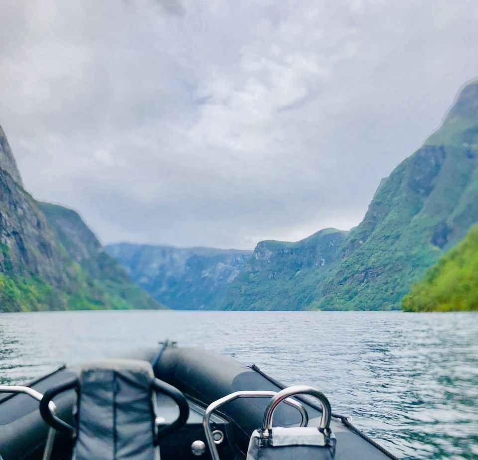 Photo of Nature is to Love and NOT HATE #bestof2018 by Naveen Issac Immanuel