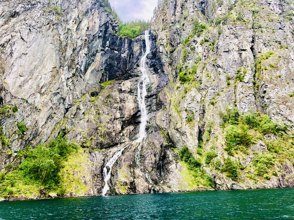 Photo of Nature is to Love and NOT HATE #bestof2018 by Naveen Issac Immanuel