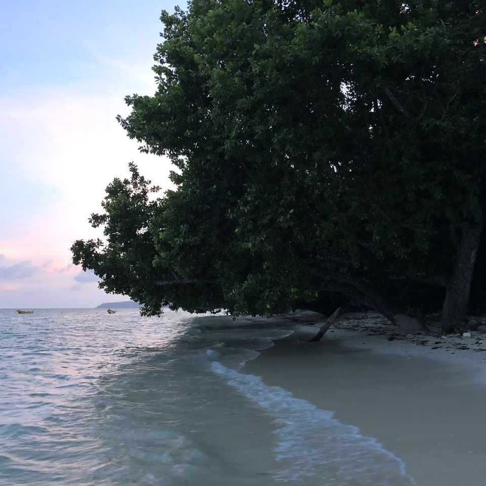Photo of Corbyns Cove Beach by Naveen Issac Immanuel