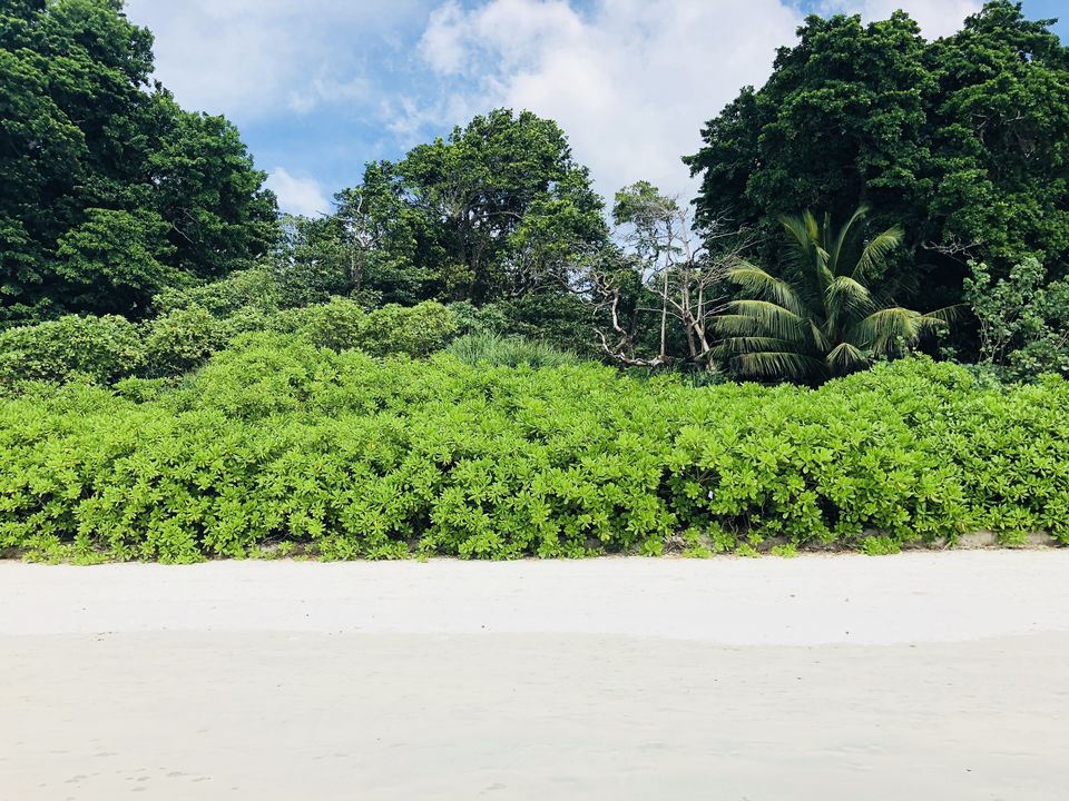 Photo of Magical Andamans by Naveen Issac Immanuel