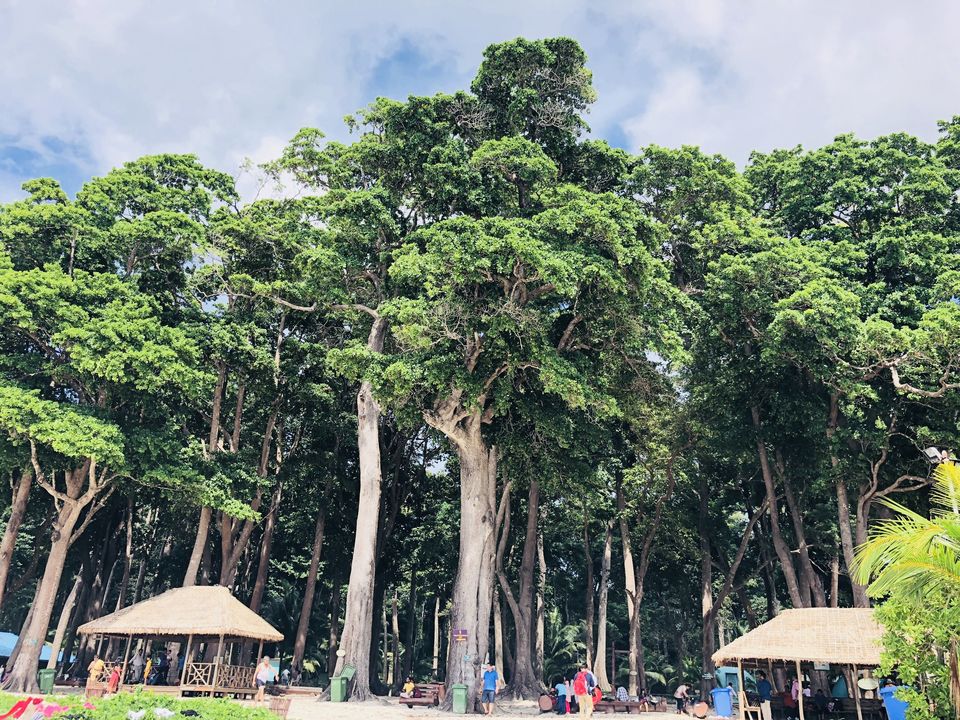 Photo of Magical Andamans by Naveen Issac Immanuel