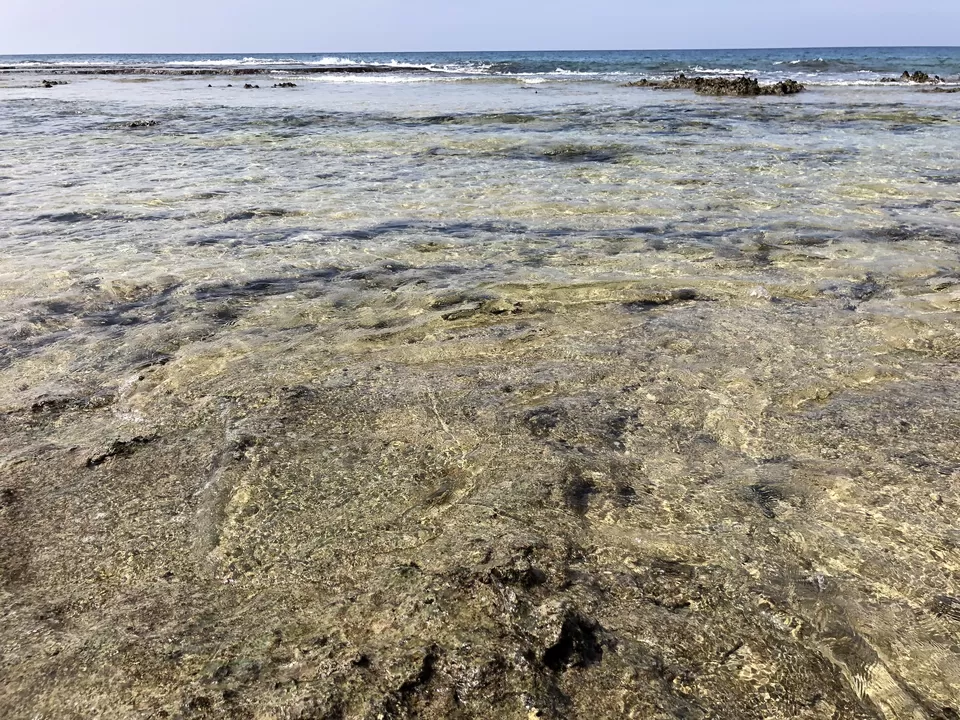 Photo of Bharatpur Beach, Neil Island, Bharatpur, Andaman and Nicobar Islands, India by Naveen Issac Immanuel