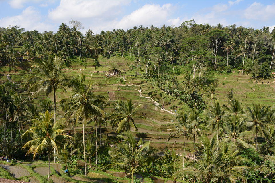 Photo of 3 Countries,1 Week: Skyscrapers, Temples, Towers and Volccano Trek by Naveen Issac Immanuel