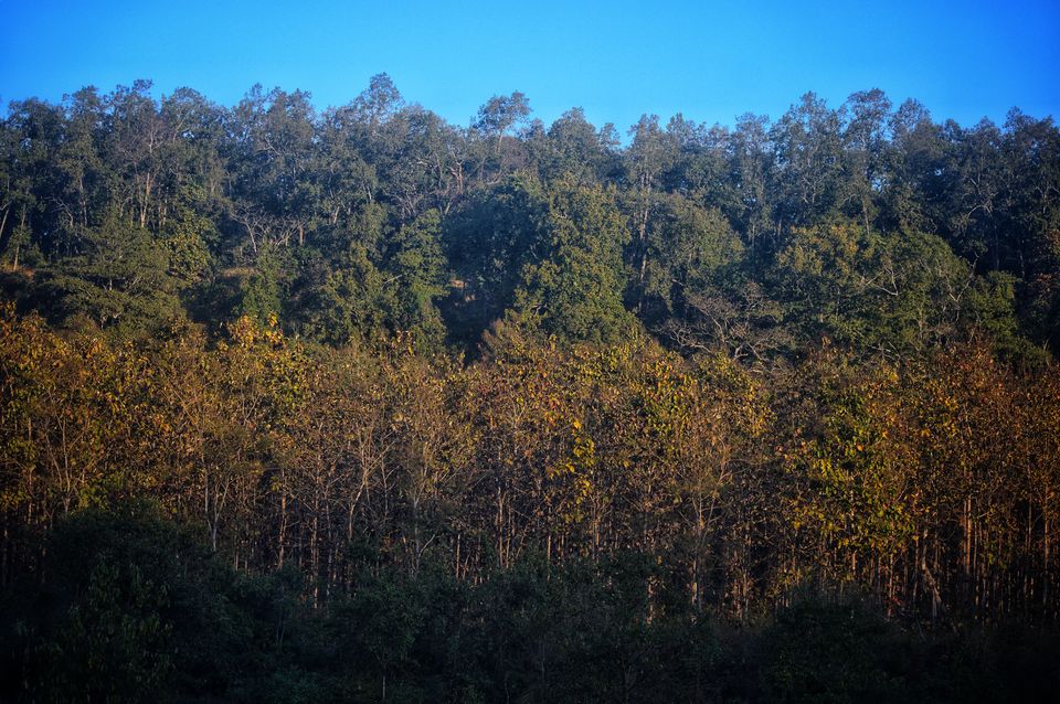 Photo of Ramnagar, Uttarakhand, India by Pranjal Sharma