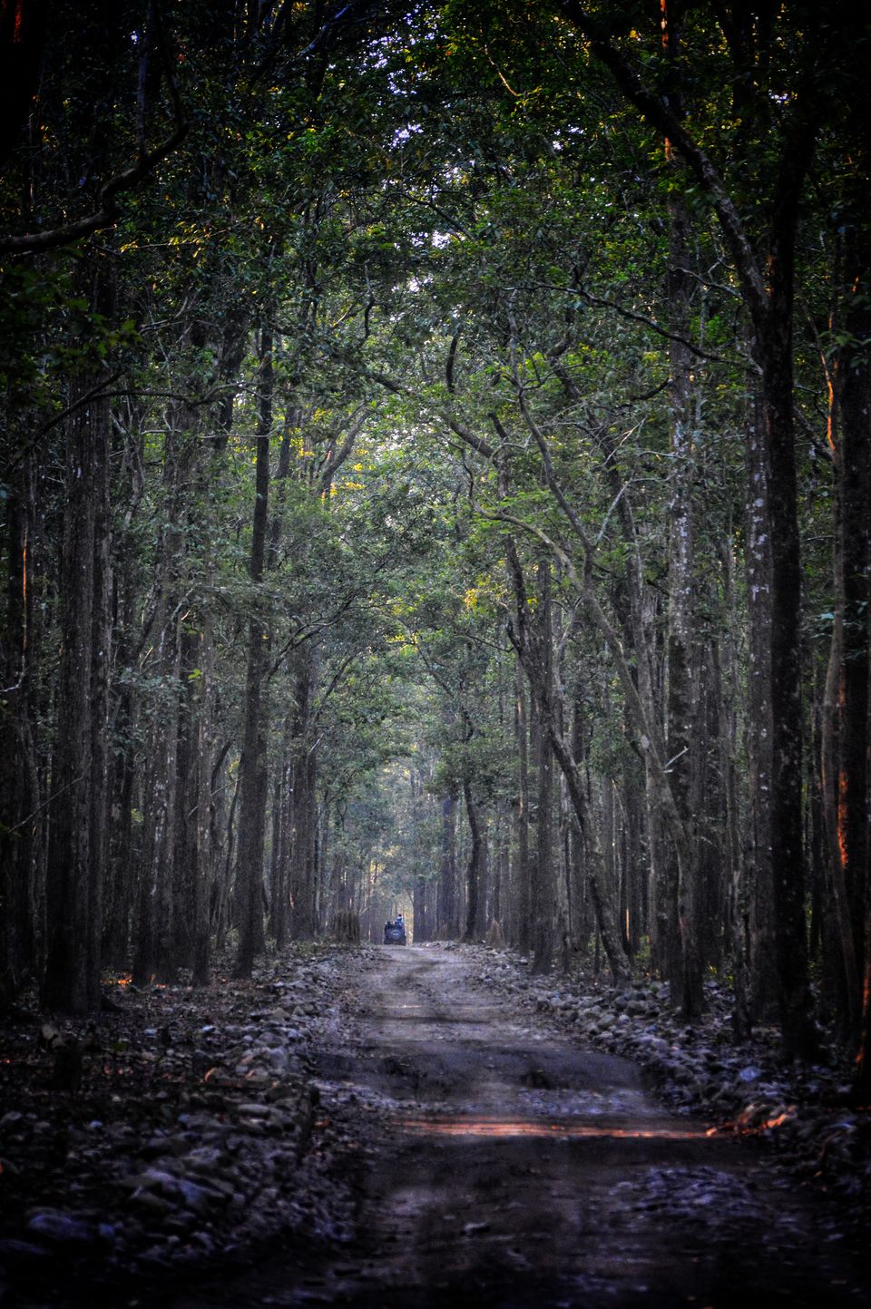 Photo of Ramnagar, Uttarakhand, India by Pranjal Sharma