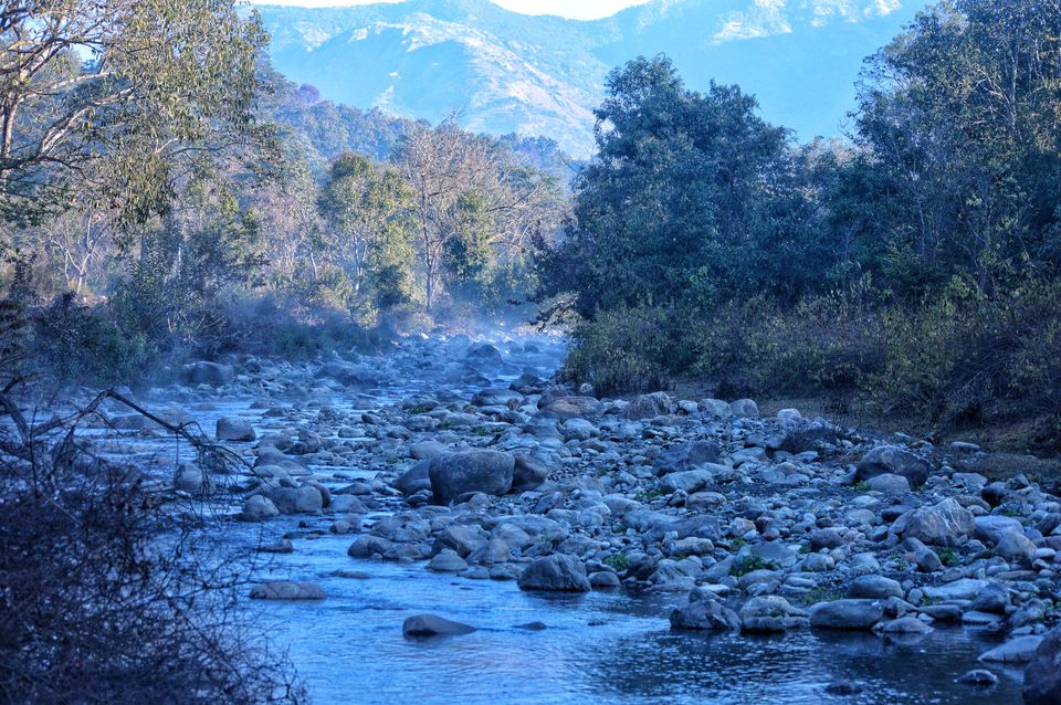 Photo of Jim Corbett and the Wilderness! by Pranjal Sharma