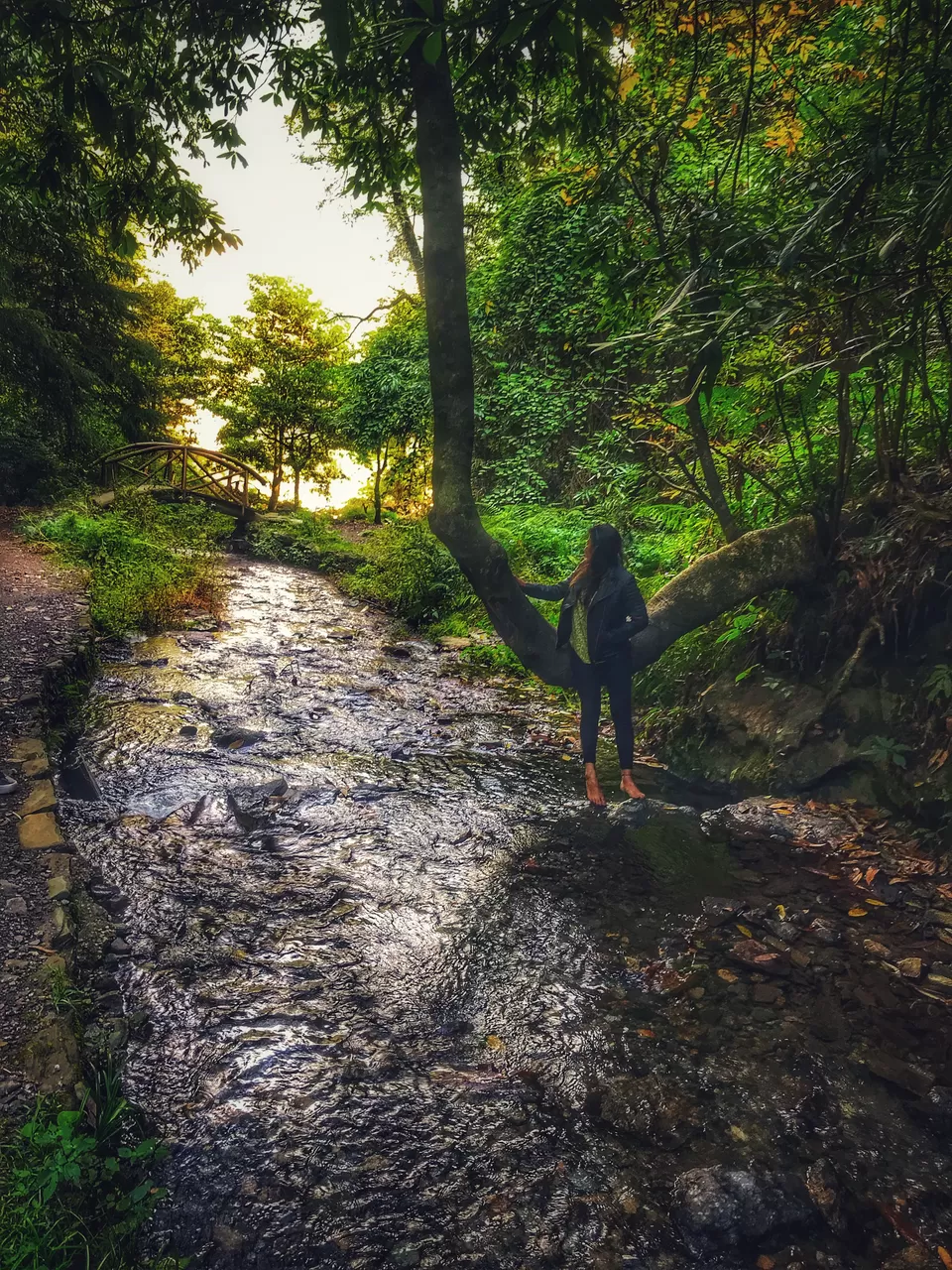 Photo of Jibhi, Himachal Pradesh, India by Archana Dhuri