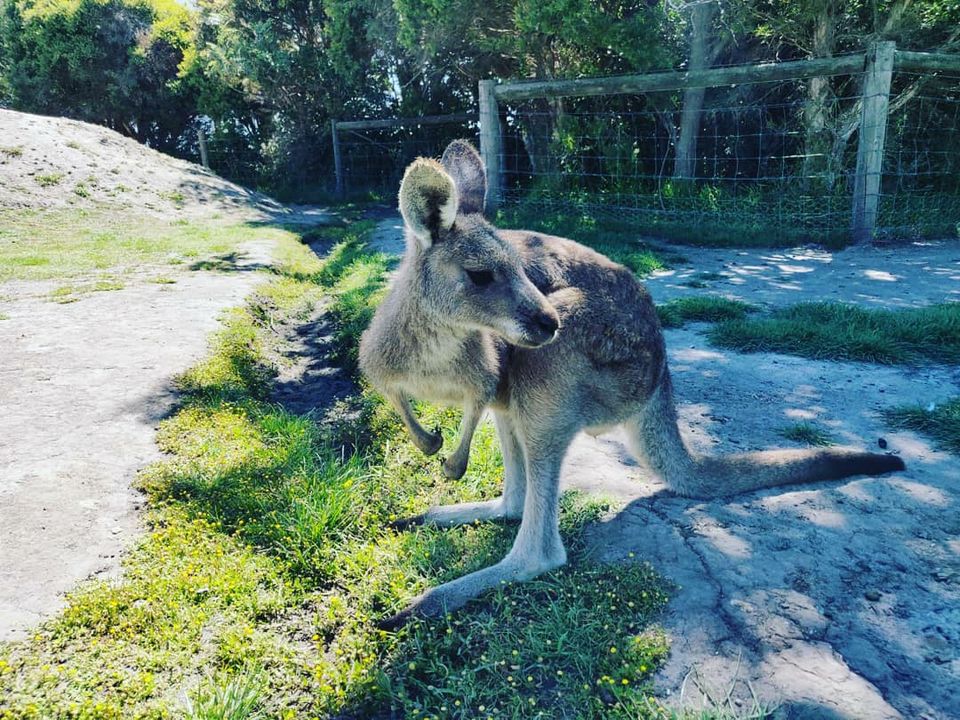 Photo of Australian summer by Sarath Chandra Gudlavalleti