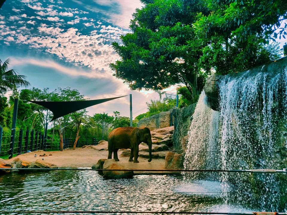Photo of Australian summer by Sarath Chandra Gudlavalleti