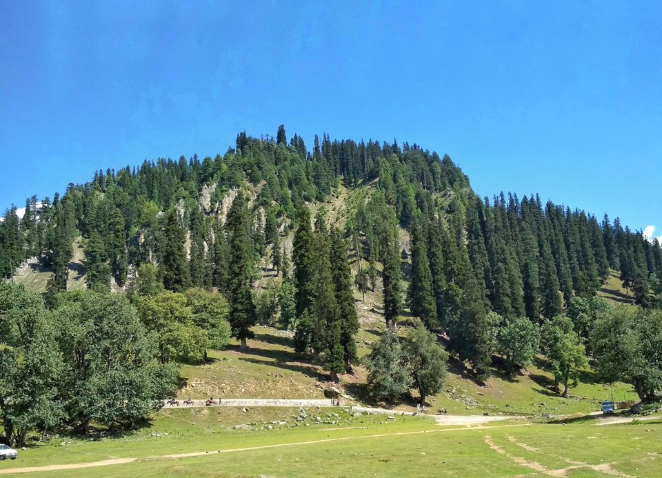 Photo of Sonamarg by Gurkirat Singh