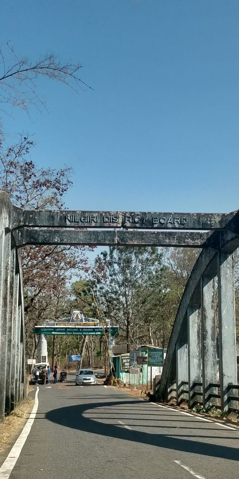 Photo of Bandipur National Park, Bandipur, Karnataka, India by Amiyangshu Nath