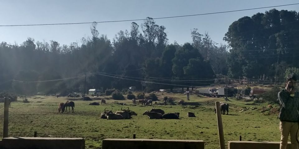 Photo of Ooty, Tamil Nadu, India by Amiyangshu Nath